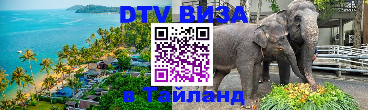 Купить DTV визу в Таиланд 
